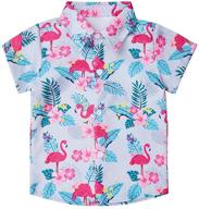 🌺 vibrant hawaiian flamingos button sleeve clothing for boys with a tropical twist logo