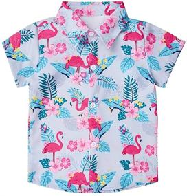 img 4 attached to 🌺 Vibrant Hawaiian Flamingos Button Sleeve Clothing for Boys with a Tropical Twist