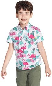 img 3 attached to 🌺 Vibrant Hawaiian Flamingos Button Sleeve Clothing for Boys with a Tropical Twist