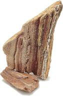 🐠 lifegard aquatics aquascaping petrified redwood stone kit: enhance your fish tank with decorative aquarium rocks – perfect for 25 gallon tanks логотип