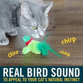 img 1 attached to OurPets Play-N-Squeak Real Birds Cat Toys - Interactive Cat Toys for Indoor Cats with Catnip and Real Chirping Bird Electronic Sound