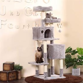 img 3 attached to 🐱 Premium 60-inch Multi-Level Cat Tree Condo Furniture | Sisal-Covered Scratching Posts, 2 Cozy Condos & 2 Plush Perches | Ideal for Kittens, Cats, and Pets