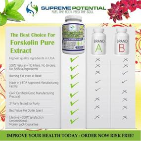 img 2 attached to 💪 Supreme Potential ® Pure Forskolin - Повысьте эффективность похудения с 180 капсулами