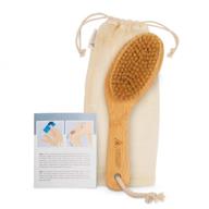 🌿 dry brush - organic bamboo body scrub brush with travel bag and dry brushing guide for skin care - conscious coconut logo