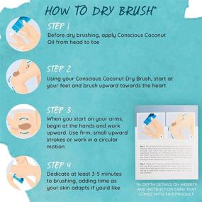 img 1 attached to 🌿 Dry Brush - Organic Bamboo Body Scrub Brush with Travel Bag and Dry Brushing Guide for Skin Care - Conscious Coconut