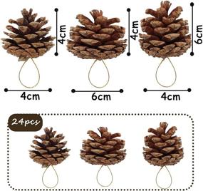 img 3 attached to 🌲 JOHOUSE 24PCS Natural Pinecones Package for Christmas and Winter Crafts - Pinecones Ornaments for Autumn Decorating, 1.9-2.5 inches