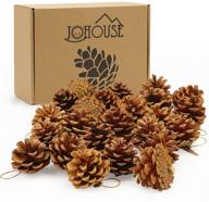 🌲 johouse 24pcs natural pinecones package for christmas and winter crafts - pinecones ornaments for autumn decorating, 1.9-2.5 inches логотип