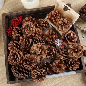 img 1 attached to 🌲 JOHOUSE 24PCS Natural Pinecones Package for Christmas and Winter Crafts - Pinecones Ornaments for Autumn Decorating, 1.9-2.5 inches