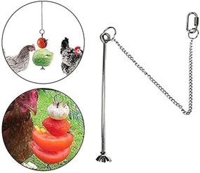 img 1 attached to 🐔 AnRui Stainless Steel Hanging Feeder Toy Veggies Fruit Skewer for Chicken Hens Pet Bird Parrot - 2Pcs