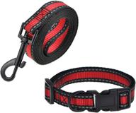 mile high life: reflective dog collar leash set for small and medium dogs – adjustable in 11 trendy colors! logo