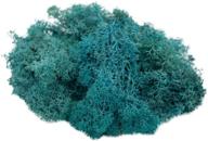 🌿 turquoise reindeer moss: preserved azul colored decor for fairy gardens, terrariums, and crafts - includes free nautical ebook! logo