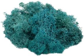 img 4 attached to 🌿 Turquoise Reindeer Moss: Preserved Azul Colored Decor for Fairy Gardens, Terrariums, and Crafts - Includes Free Nautical eBook!