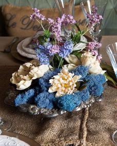 img 2 attached to 🌿 Turquoise Reindeer Moss: Preserved Azul Colored Decor for Fairy Gardens, Terrariums, and Crafts - Includes Free Nautical eBook!