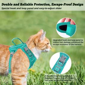 img 3 attached to 🐱 Escape-Proof Cat Harness and Leash Set: Ideal for Small & Large Cats, Kittens - Blue, XS - with ID Tag Pocket