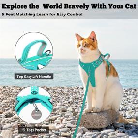 img 2 attached to 🐱 Escape-Proof Cat Harness and Leash Set: Ideal for Small & Large Cats, Kittens - Blue, XS - with ID Tag Pocket