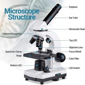 img 2 attached to Powerful 40X-1600X Microscope for Kids, Students, and Adults with Slide Set, Dual LED Illumination, Phone Adapter - Ideal for Science Lab Class, Home Study, and Preschool Education