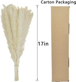 img 2 attached to FOTEEWL Dried Pampas Grass 30 Pcs, White Pompous Grass for Stunning Flower Arrangements and Wedding Decor