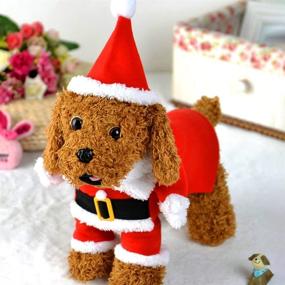 img 3 attached to 🎅 Santa Dog Costume for Small Dogs and Cats – Funny Christmas Clothes with 2 Stitched Arms for Dress Up