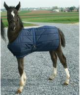 🐴 optimized foal blanket for high spirit and maximum comfort logo