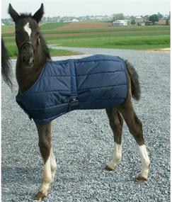 img 1 attached to 🐴 Optimized Foal Blanket for High Spirit and Maximum Comfort