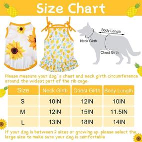 img 3 attached to Pet Clothing Set: 2 Adorable Fruit Dog Dresses + 2 Breathable Pet T-Shirts - Perfect Puppy Clothes for Your Beloved Pet