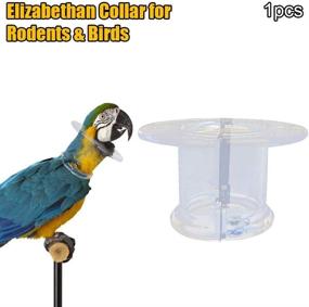 img 3 attached to 🦜 Cobud Bird Collar - Parrot Protective Bead Collar for Anti-Plucking & Anti-Grab Purposes - Elizabethan Collar in S/M/Z Sizes - Fabulous