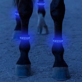 img 4 attached to SUKEYME 4Pcs Horse Boots Tack Sports & Fitness