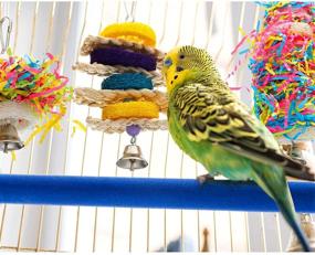 img 2 attached to 🐦 Colorful Bird Cage Toys: 6-Piece Shredder & Chewing Set with Hanging Foraging Toy, Loofah Toys, and Perch Stand for Small Parrots, Cockatiels, Conures, African Greys - Blue Paw Grinding Stick Included