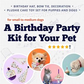 img 1 attached to American Pet Supplies Birthday Decoration