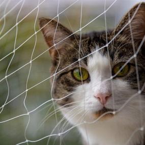 img 2 attached to 🐱 YOKMO Cat Balcony Net: Transparent Nylon Pet Mesh Fence for Balcony and Stairs - Anti-Fall Protection for Cats and Dogs