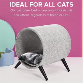 img 3 attached to 🐱 Modern Elevated Cat Tunnel Bed with Plush Interior, Wooden Legs - Perfect for Contemporary & Small Spaces