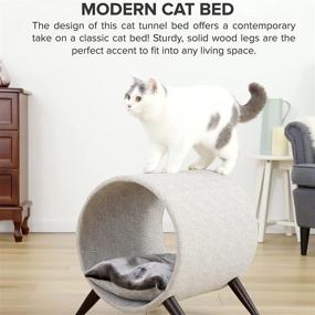 img 1 attached to 🐱 Modern Elevated Cat Tunnel Bed with Plush Interior, Wooden Legs - Perfect for Contemporary & Small Spaces