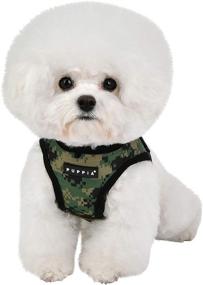 img 1 attached to 🐾 Unleash the Safety with Puppia Sentinel Harness B