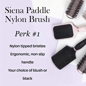 img 2 attached to 🔥 L'ange Hair Siena Paddle Nylon Brush: Get Smooth and Tangle-Free Hair with Heat-Resistant Nylon Bristles (Black)