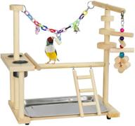 🐦 exttlliy parrots bird playground birdcage playstand play gym, parakeet playpen with ladder and feeder cup, bird toys swing chew toy logo