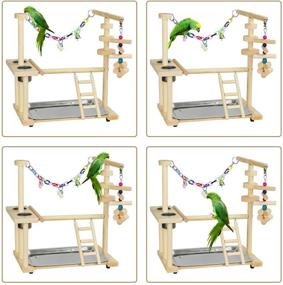 img 1 attached to 🐦 Exttlliy Parrots Bird Playground Birdcage Playstand Play Gym, Parakeet Playpen with Ladder and Feeder Cup, Bird Toys Swing Chew Toy