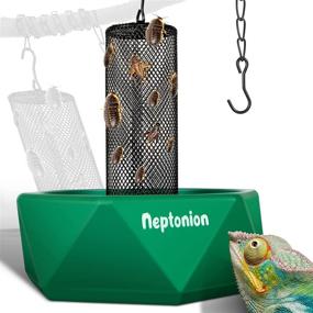 img 4 attached to NEPTONION Chameleon Feeding Bowl with Hook, Bugs Bar and Climbing Column - Ideal for Lizard, Bearded Dragon, Iguana, Gecko, Toad, and Frog
