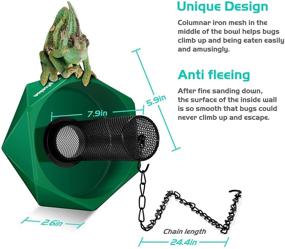 img 3 attached to NEPTONION Chameleon Feeding Bowl with Hook, Bugs Bar and Climbing Column - Ideal for Lizard, Bearded Dragon, Iguana, Gecko, Toad, and Frog