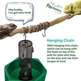 img 2 attached to NEPTONION Chameleon Feeding Bowl with Hook, Bugs Bar and Climbing Column - Ideal for Lizard, Bearded Dragon, Iguana, Gecko, Toad, and Frog