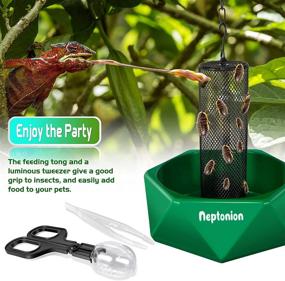 img 1 attached to NEPTONION Chameleon Feeding Bowl with Hook, Bugs Bar and Climbing Column - Ideal for Lizard, Bearded Dragon, Iguana, Gecko, Toad, and Frog