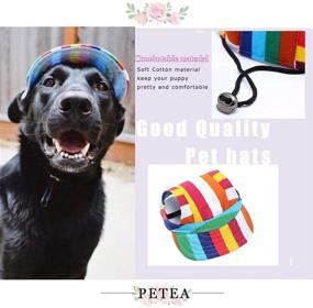 img 1 attached to 🐶 Petea Dog Hat: Pet Baseball Cap with Ear Holes and Chin Strap for Dogs and Cats - 4 Sizes, 5 Colors (Rainbow Stripe, M)