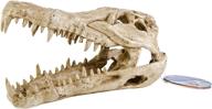 🐊 crocodile skull resin ornament for fish tanks - enhance your aquarium with pen plax rr1065 9l x 4w x 5.5h logo