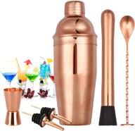 🍸 professional cocktail shaker set - 25 oz martini shaker with measuring jigger, mixing spoon, and more - premium stainless steel bartender kit (6 piece) logo