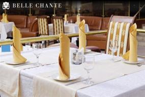 img 1 attached to 🍷 BELLE CHANTE Роскошные хлопковые салфетки - Натуральная ткань из ответственного производства, 100% хлопок, 20 x 20 дюймов, крупные, идеально подходят для обеда, мероприятий, свадеб - Дюжина, Вино