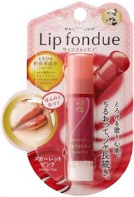 img 4 attached to Introducing Mentholatum Lip Fondue Scarlet Pink 4.2g - Ultimate Lip Care with a Stunning Shade!