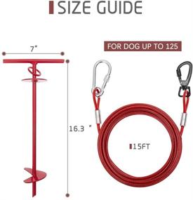 img 3 attached to 🐾 EXPAWLORER Dog Tie Out Cable and Stake: 15 Ft of Secure Dog Lead for Outdoor Adventures