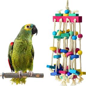 img 4 attached to KATUMO Bird Chewing Toy with Bird Perch Wood Stand, Parrot Cage Bite Toys Colorful Wooden Blocks Bird Parrot Toys for Small and Medium Parrots and Birds