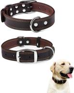 🐶 daihaqiko classic genuine leather dog collar - soft, wide, heavy-duty collar with durable metal hardware & double d-ring for dogs of all sizes logo