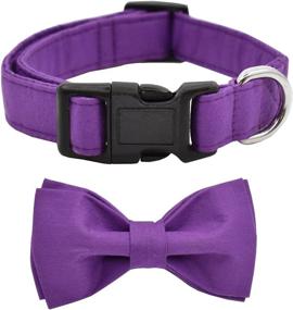 img 4 attached to FuryPaws Collar Classic Colors Adjustable