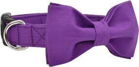 img 2 attached to FuryPaws Collar Classic Colors Adjustable